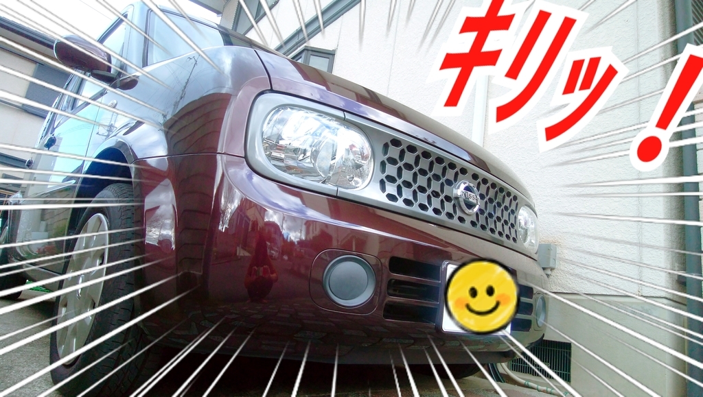 f:id:naoki-nishigaki:20190115211740j:plain