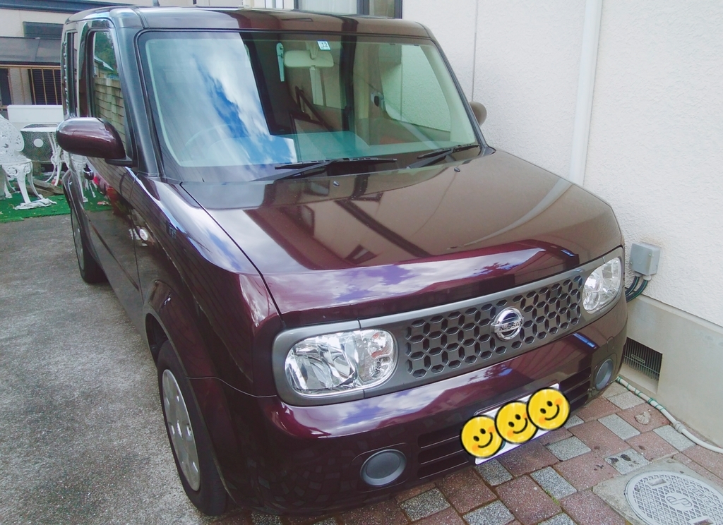 f:id:naoki-nishigaki:20190115231040j:plain