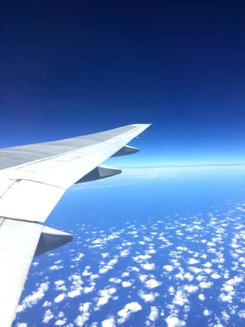 f:id:naoki-nishigaki:20190131195224j:plain