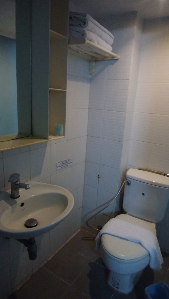 f:id:naoki-nishigaki:20190131201029j:plain