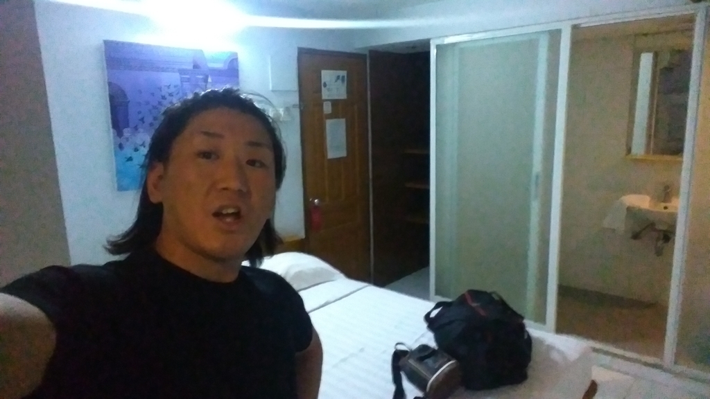 f:id:naoki-nishigaki:20190131204133j:plain