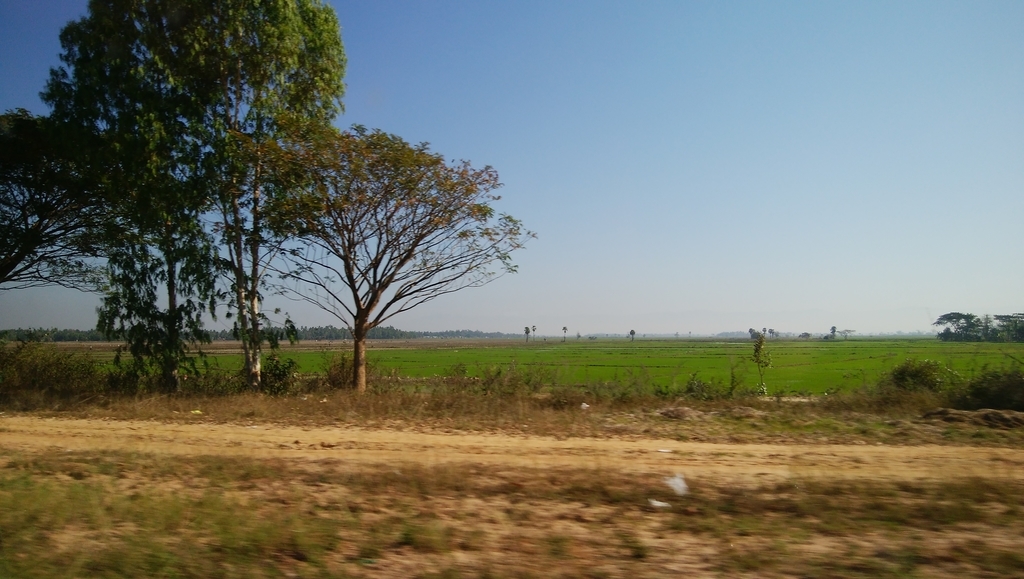 f:id:naoki-nishigaki:20190131204422j:plain