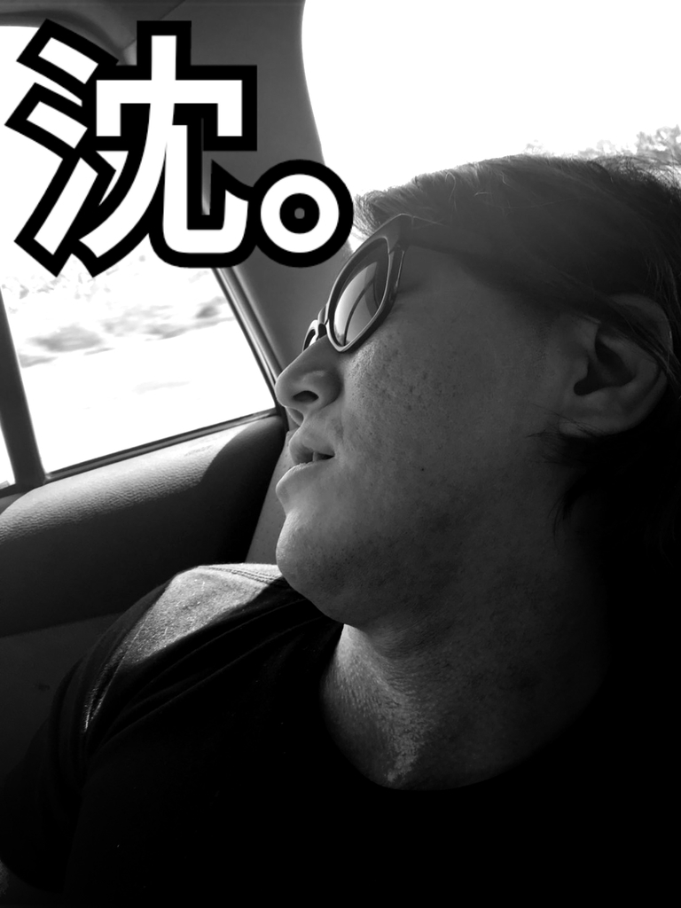 f:id:naoki-nishigaki:20190131232118j:plain