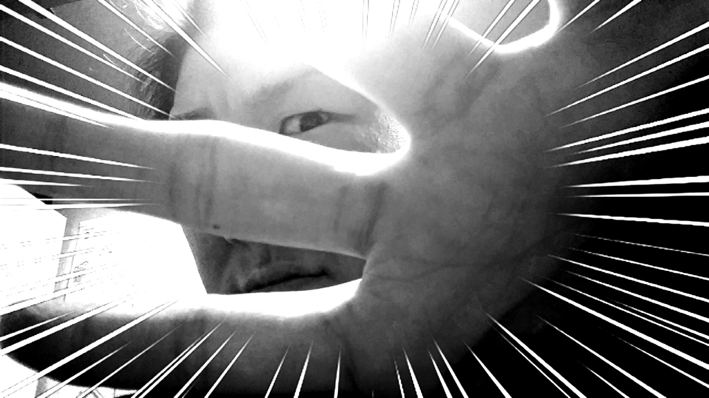 f:id:naoki-nishigaki:20190307032420j:plain