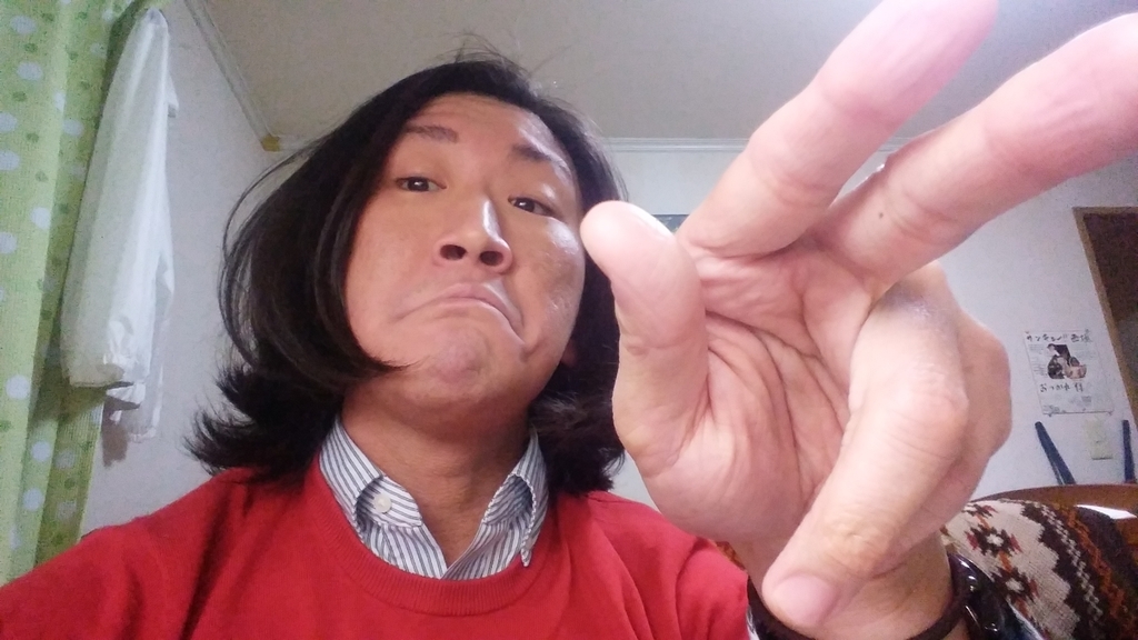 f:id:naoki-nishigaki:20190310012213j:plain