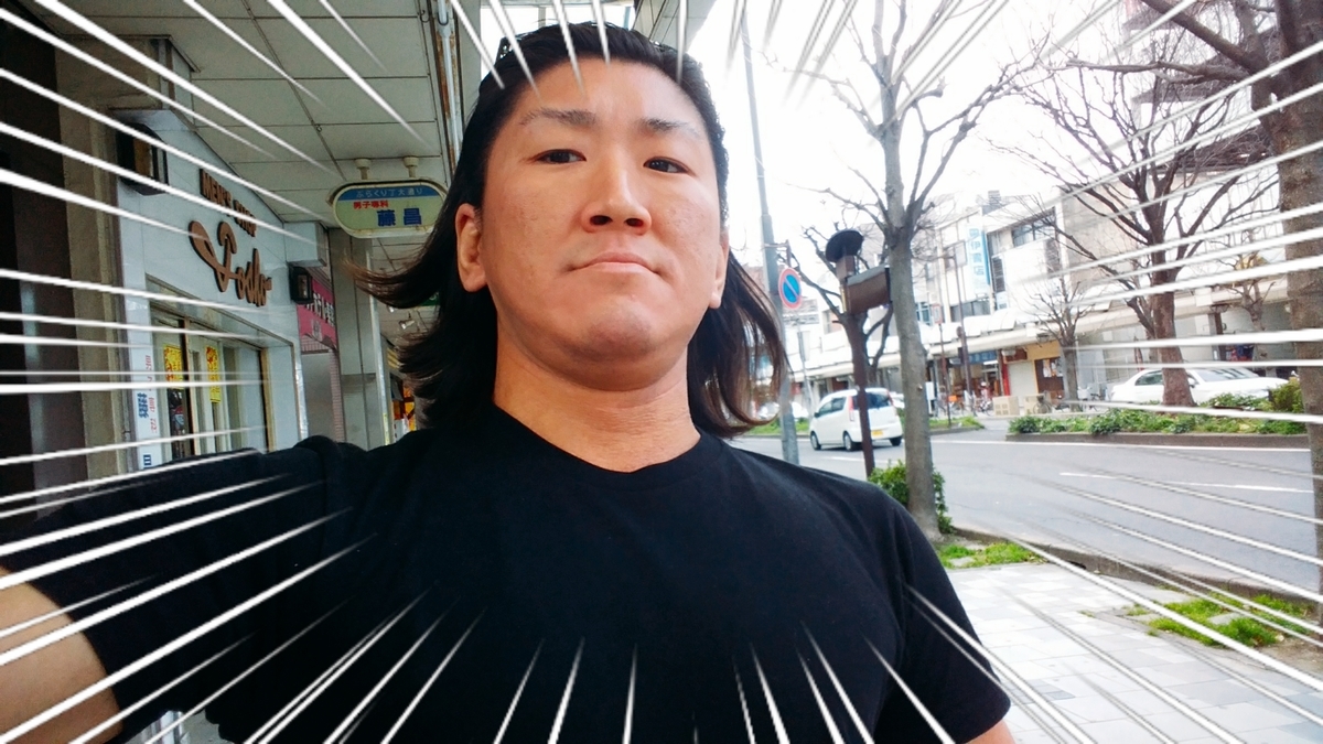 f:id:naoki-nishigaki:20190315230022j:plain