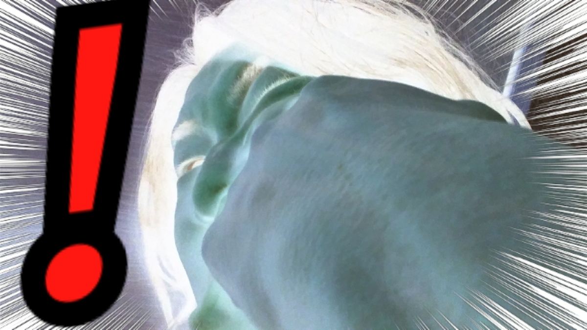 f:id:naoki-nishigaki:20190321091654j:plain f:id:naoki-nishigaki:20190321091654j:plain