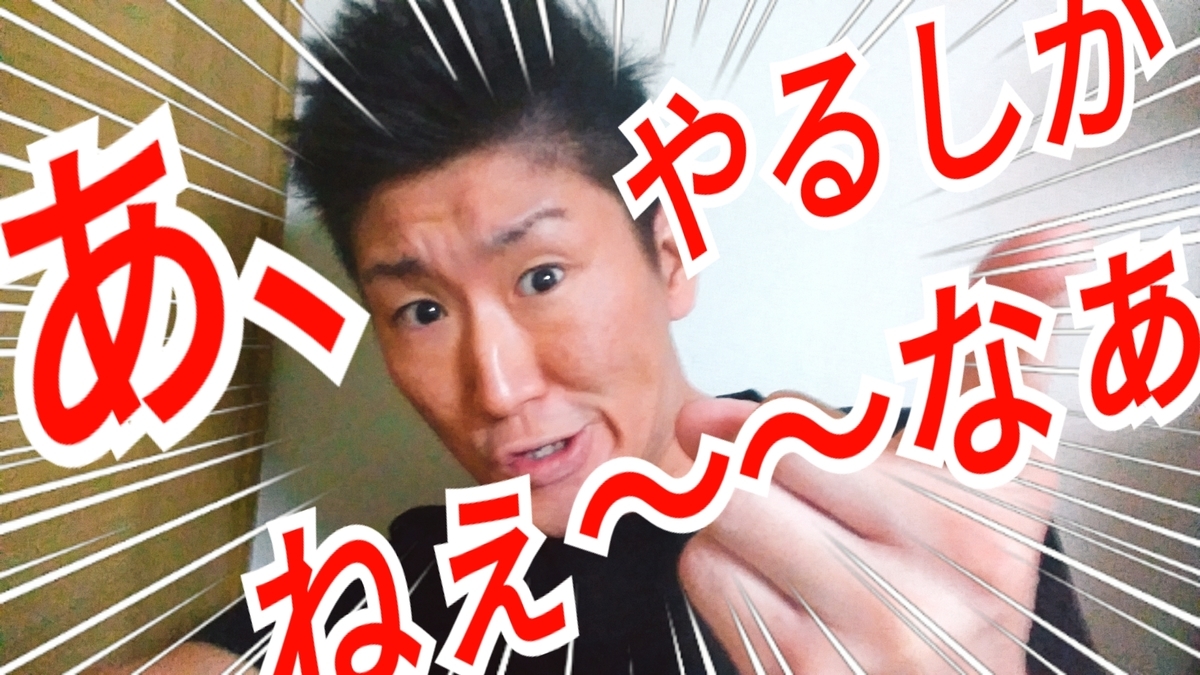 f:id:naoki-nishigaki:20190403065601j:plain