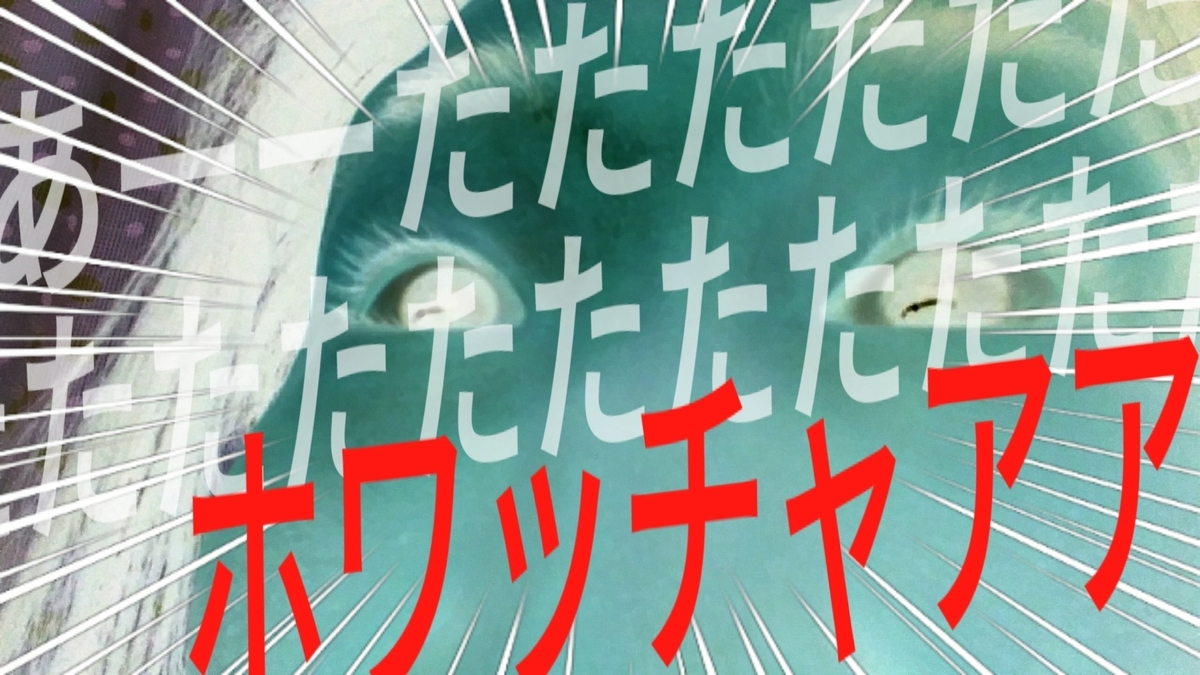 f:id:naoki-nishigaki:20190403072433j:plain