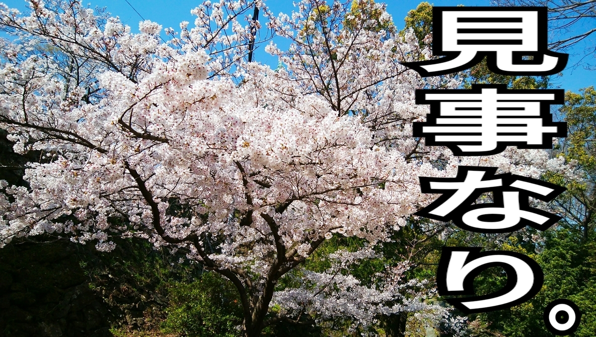 f:id:naoki-nishigaki:20190411002814j:plain f:id:naoki-nishigaki:20190411002814j:plain