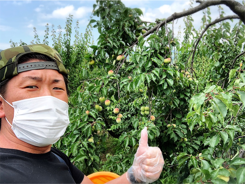 f:id:naoki-nishigaki:20190612070556j:image f:id:naoki-nishigaki:20190612070556j:image