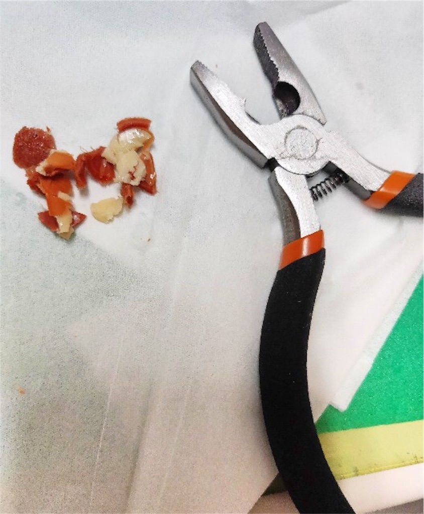 f:id:naoki-nishigaki:20190622002611j:image f:id:naoki-nishigaki:20190622002611j:image