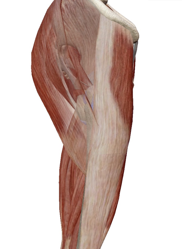 f:id:naoki-osugi:20171223112732j:plain