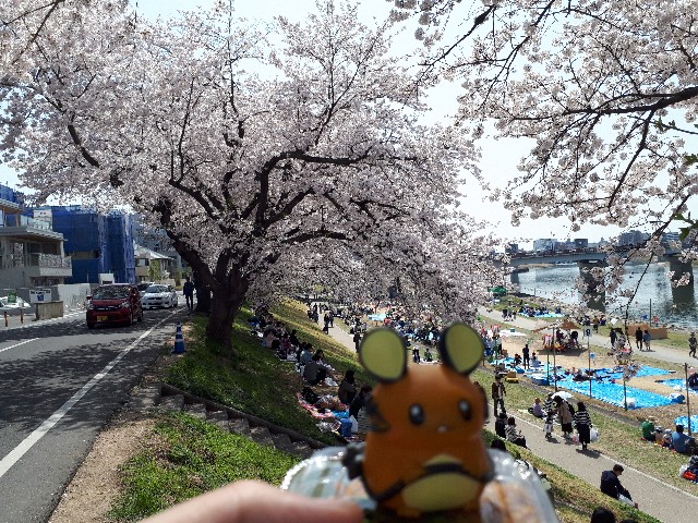 f:id:naoki0172:20200312214444j:image f:id:naoki0172:20200312214444j:image