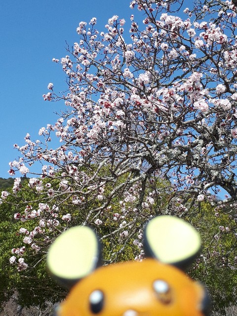f:id:naoki0172:20210928210647j:image f:id:naoki0172:20210928210647j:image