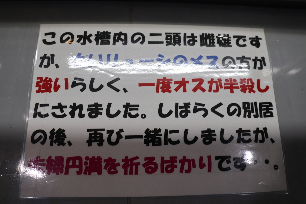 f:id:naoki0607:20191108220141j:plain