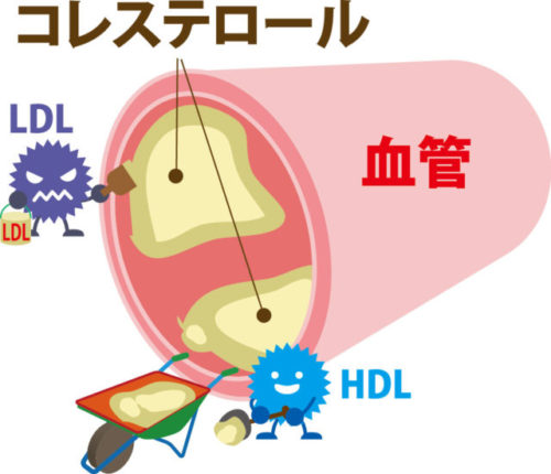 f:id:naoki0607:20200123221634j:plain