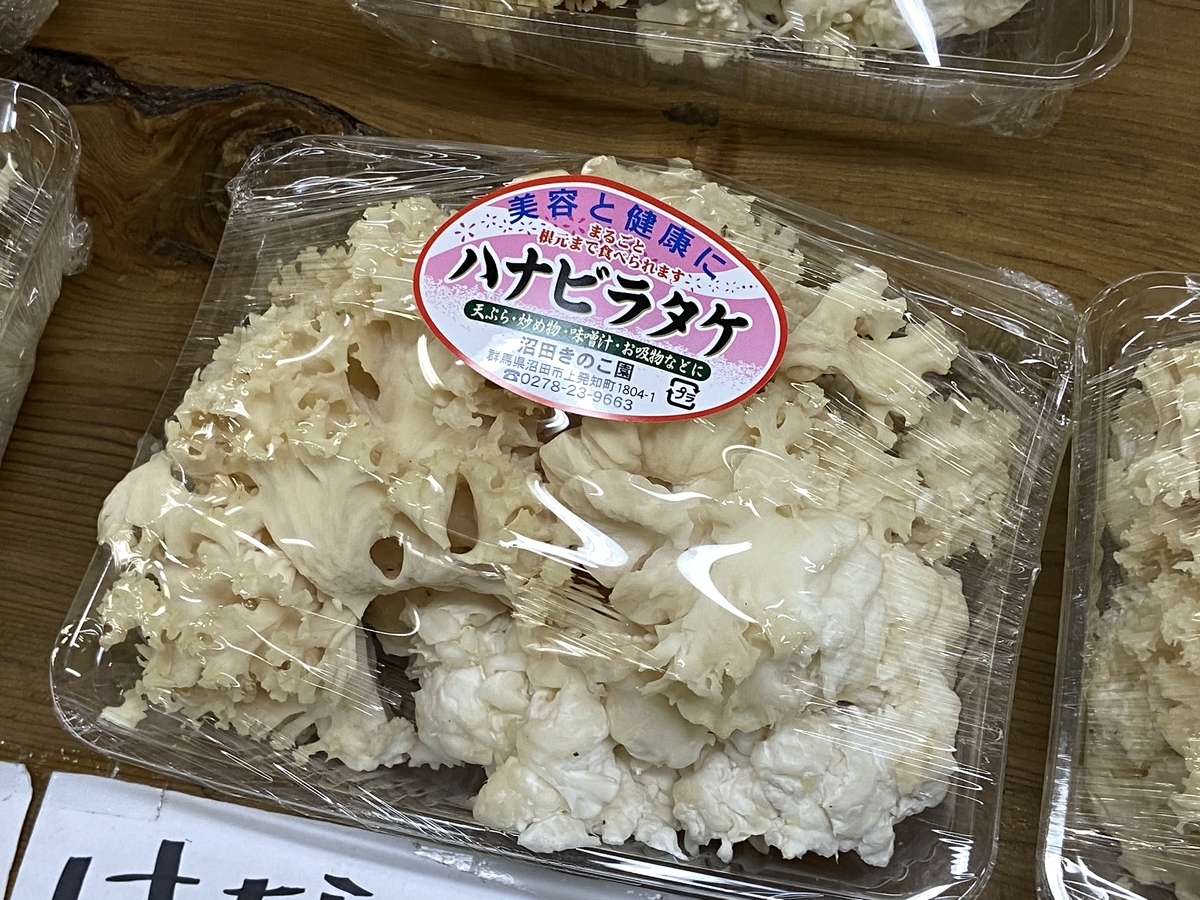 f:id:naoki0607:20210207102750j:plain