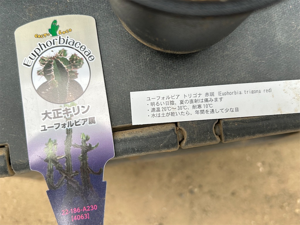 f:id:naoki114:20260523105326j:image f:id:naoki114:20260523105326j:image