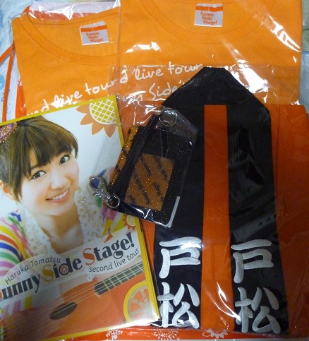 戸松遥 抱き枕カバー second live tour Sunny Side 正規品 【公式通販】