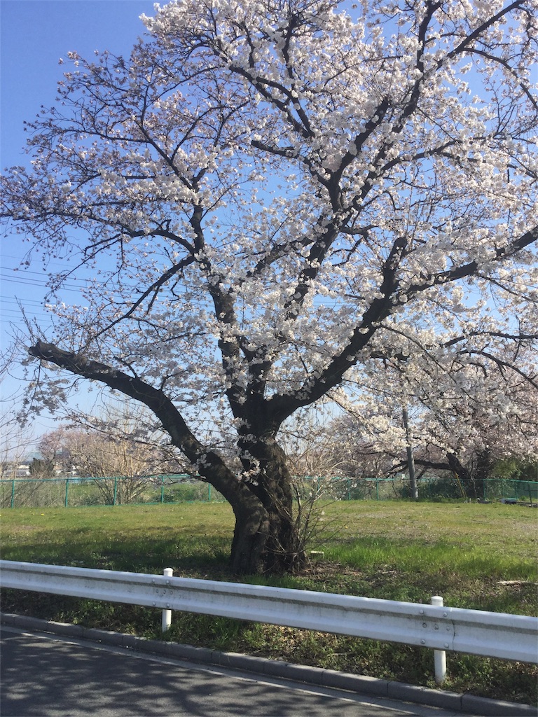 f:id:naoki87501016:20180326072004j:image f:id:naoki87501016:20180326072004j:image