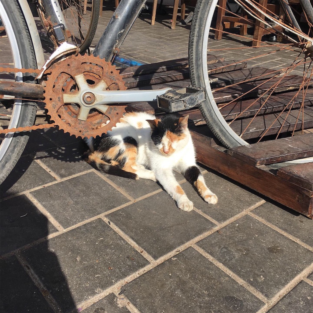f:id:naoki9918:20191012163441j:image f:id:naoki9918:20191012163441j:image