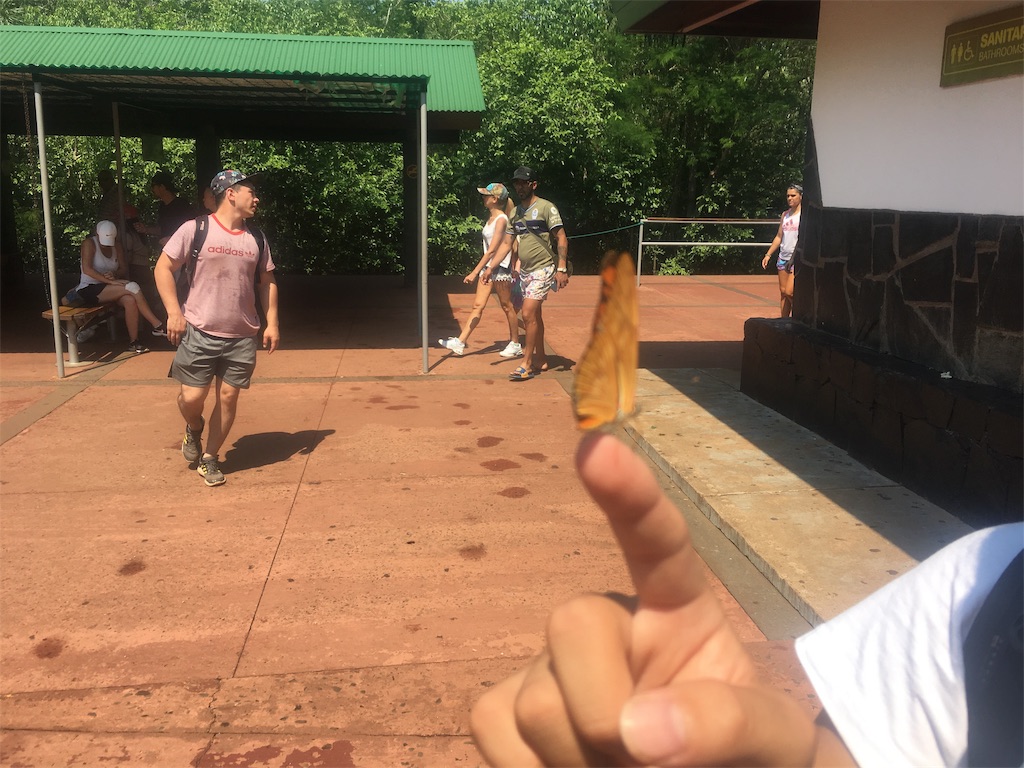 f:id:naoki9918:20191121003742j:image f:id:naoki9918:20191121003742j:image