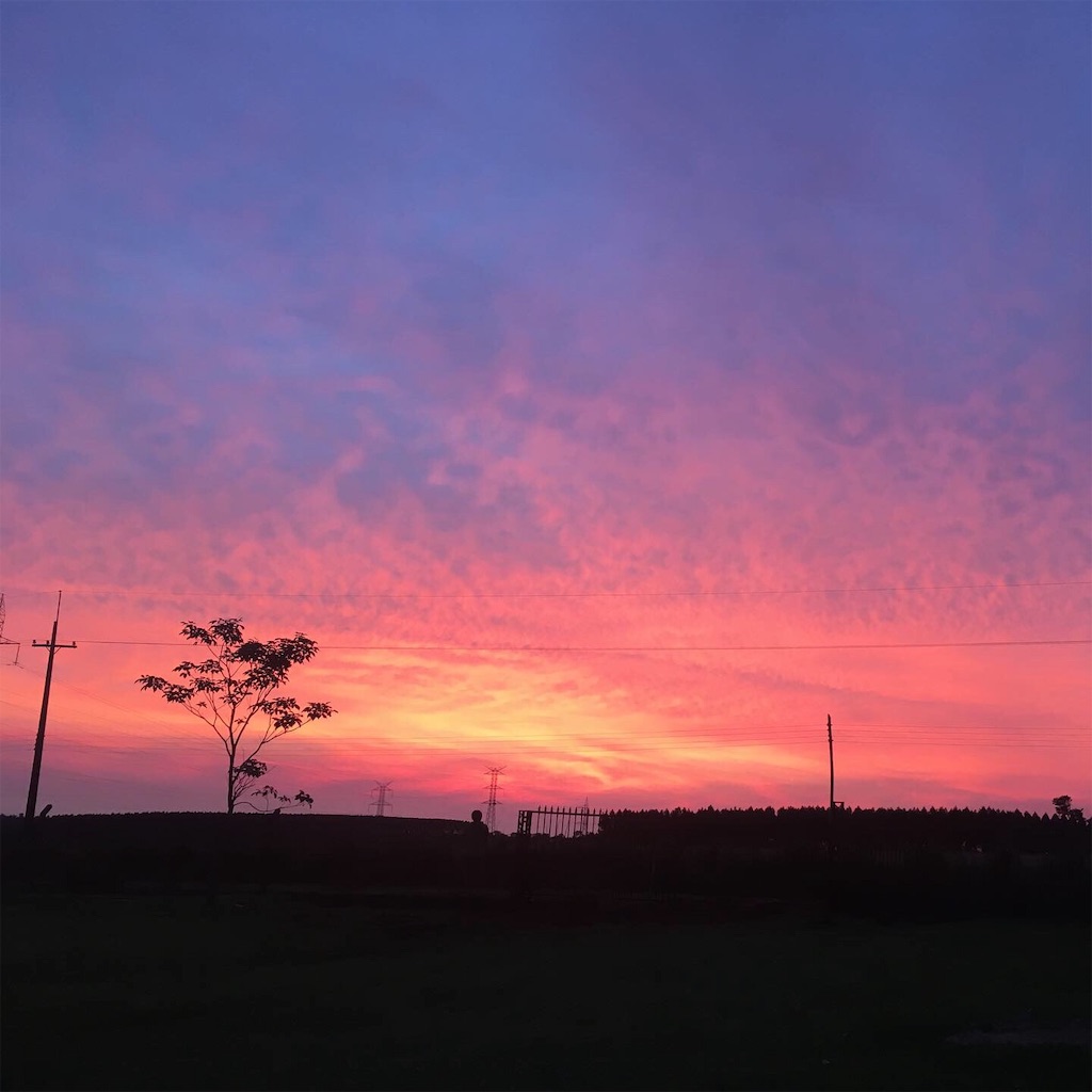 f:id:naoki9918:20191124045712j:image f:id:naoki9918:20191124045712j:image