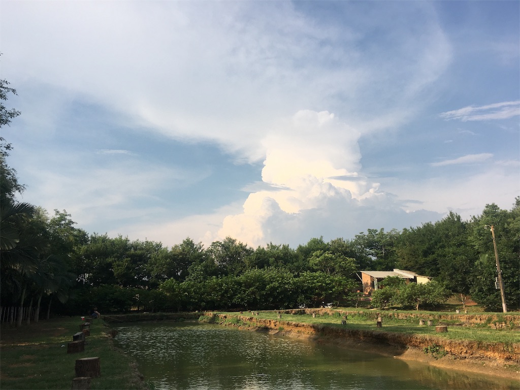 f:id:naoki9918:20191124045858j:image f:id:naoki9918:20191124045858j:image