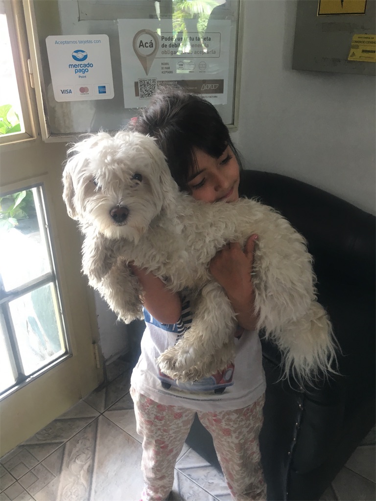 f:id:naoki9918:20191128084456j:image f:id:naoki9918:20191128084456j:image