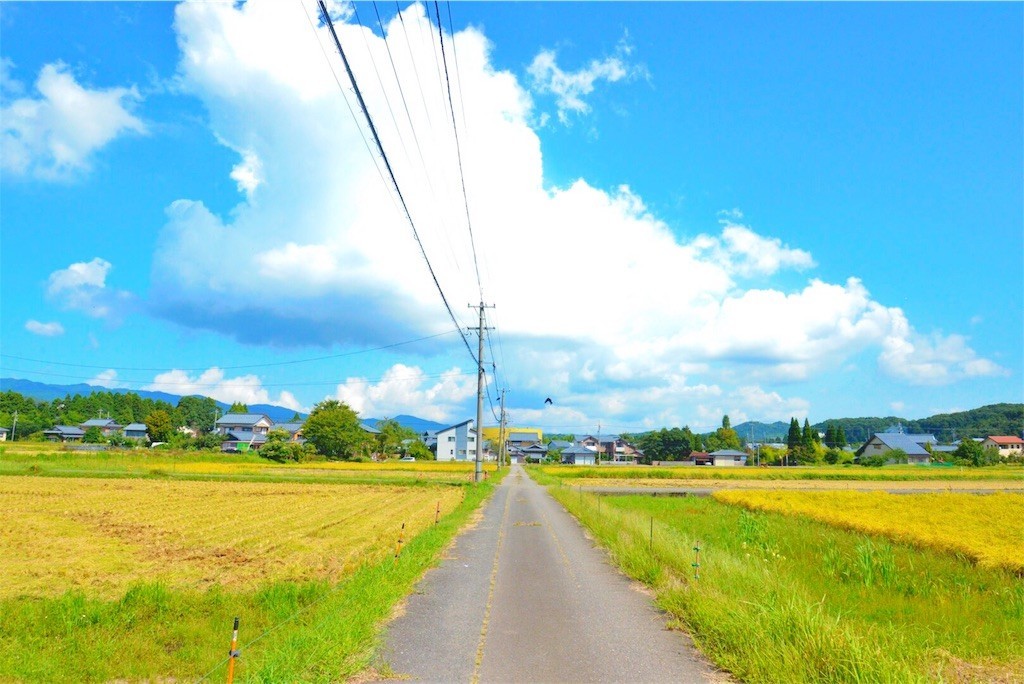 f:id:naokicampbell:20170910221459j:image