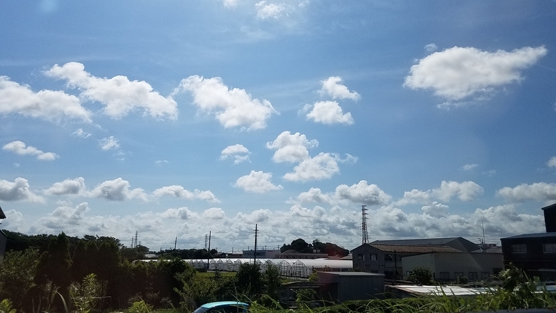 イメージ 4