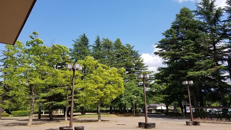 イメージ 7