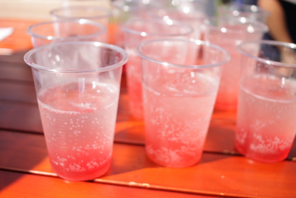 f:id:naokinoki777:20160711091617j:plain