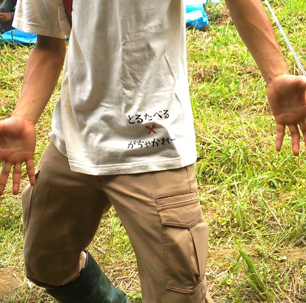 f:id:naokinoki777:20160711092713j:plain