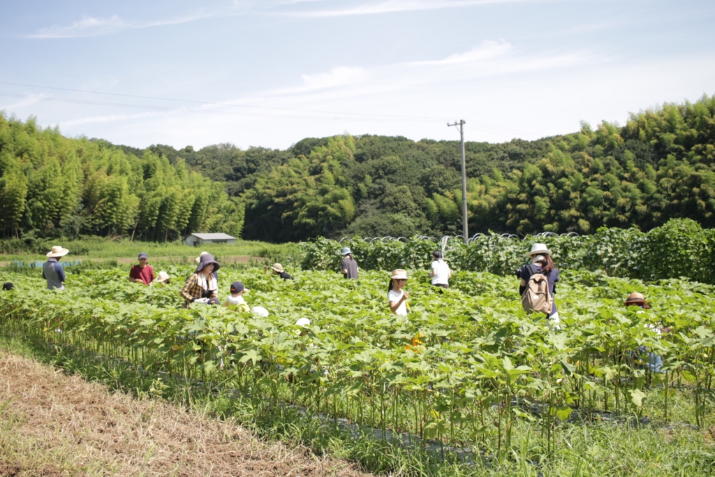 f:id:naokinoki777:20160711101327j:plain