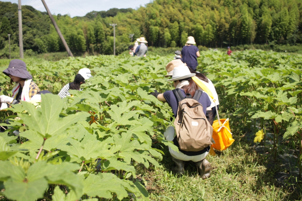 f:id:naokinoki777:20160711101348j:plain