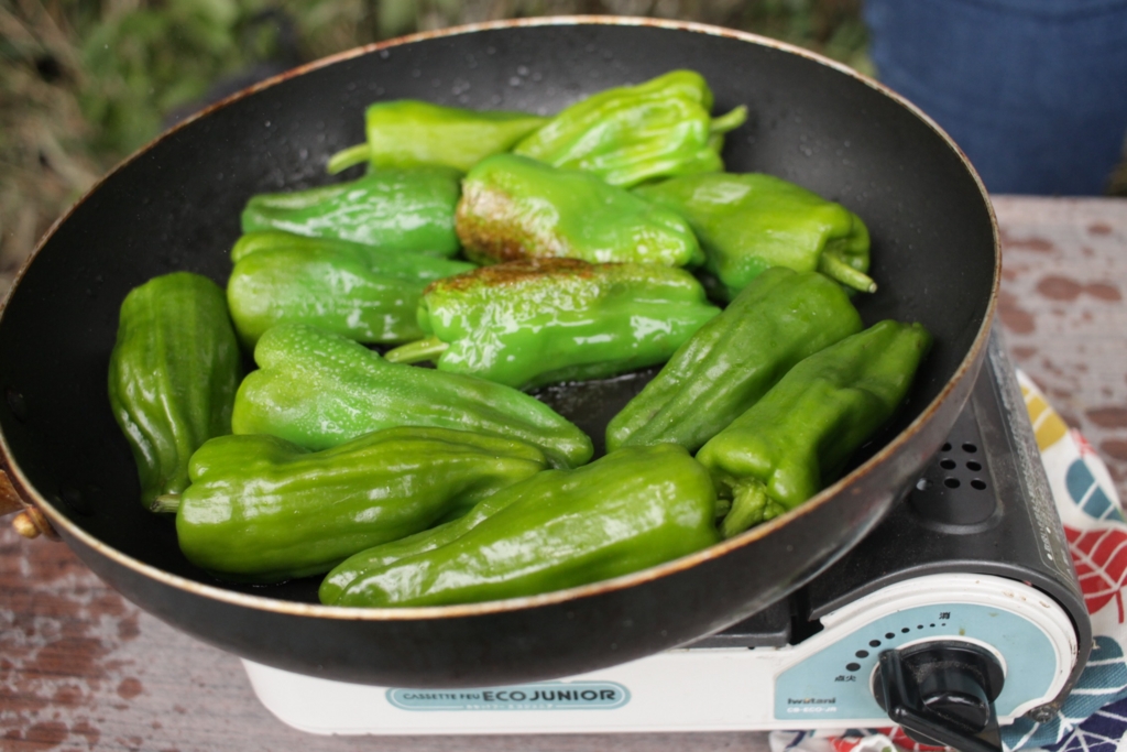 f:id:naokinoki777:20160711103202j:plain