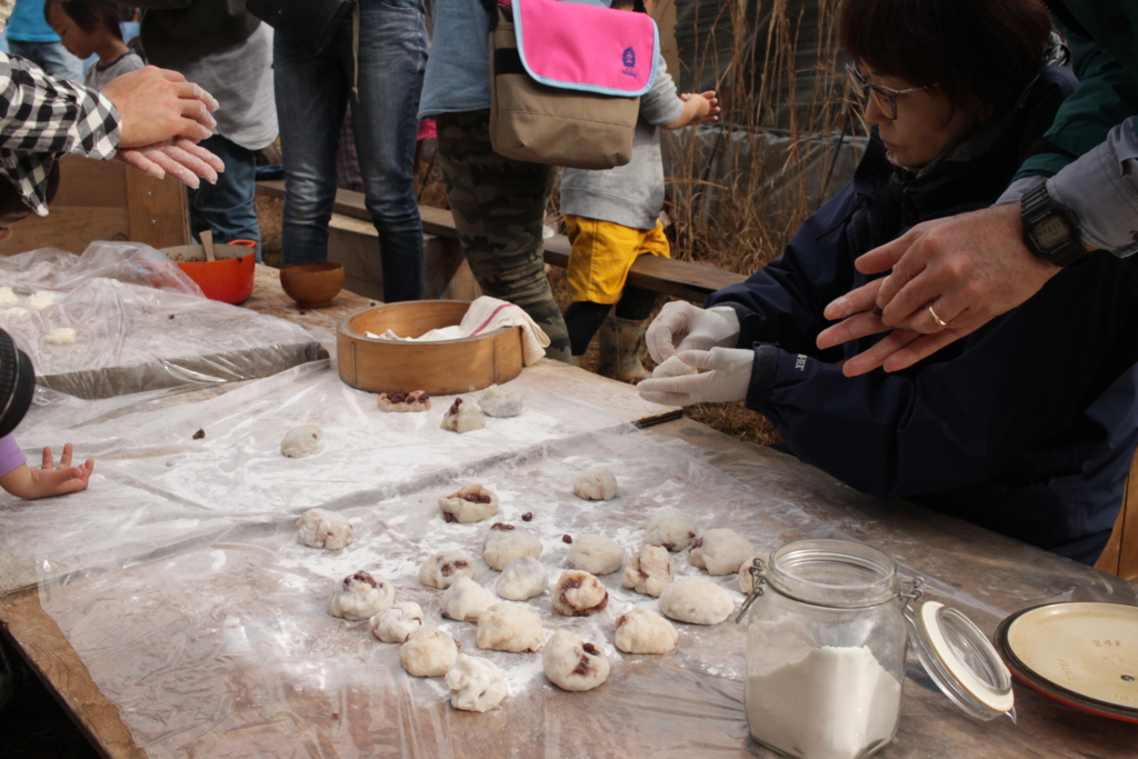 f:id:naokinoki777:20161120194559j:plain