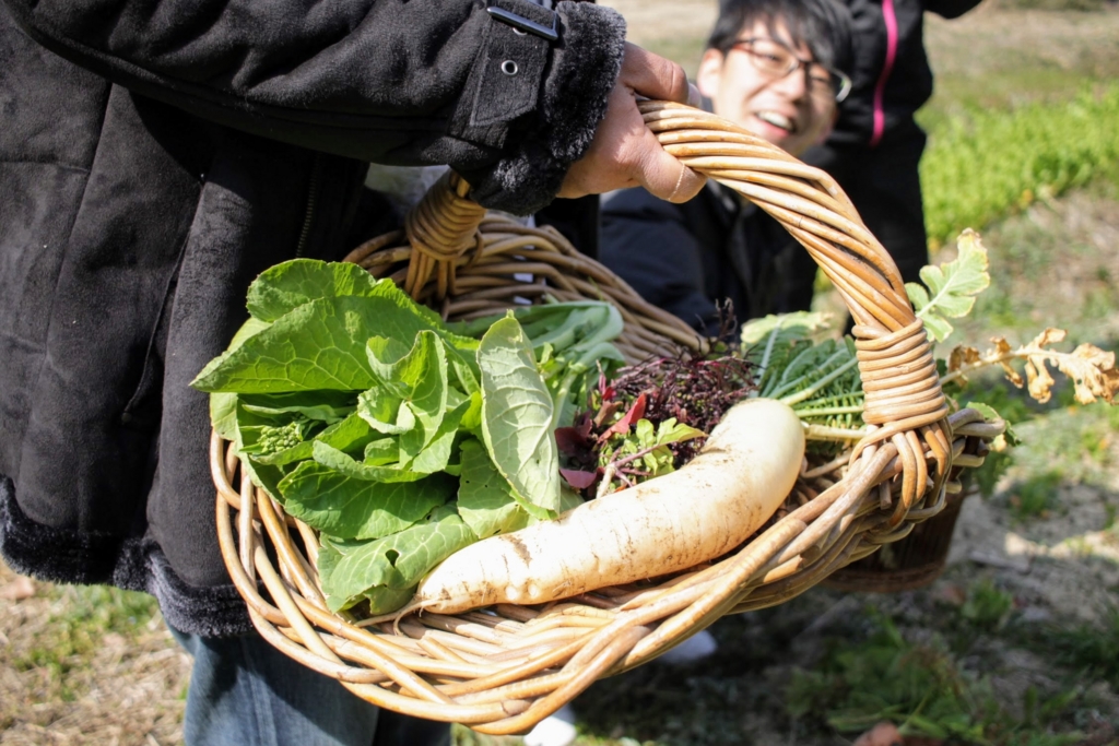 f:id:naokinoki777:20170312202923j:plain