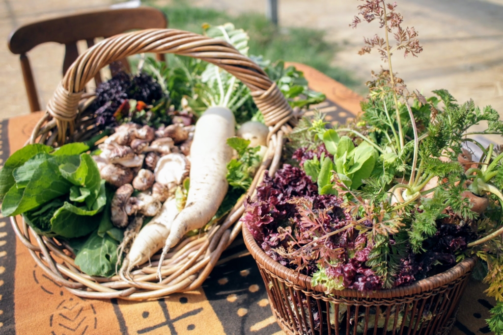 f:id:naokinoki777:20170312202930j:plain