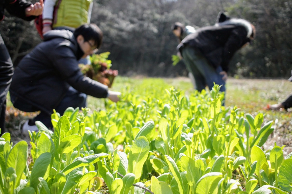 f:id:naokinoki777:20170312203018j:plain