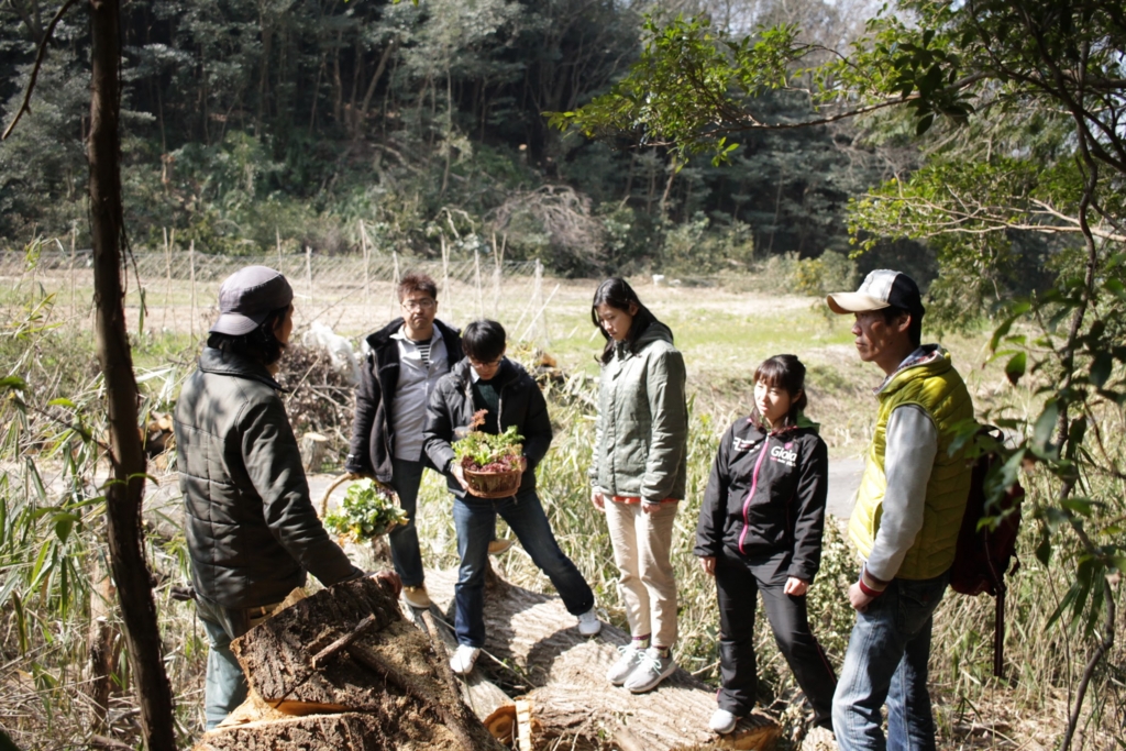 f:id:naokinoki777:20170312203225j:plain