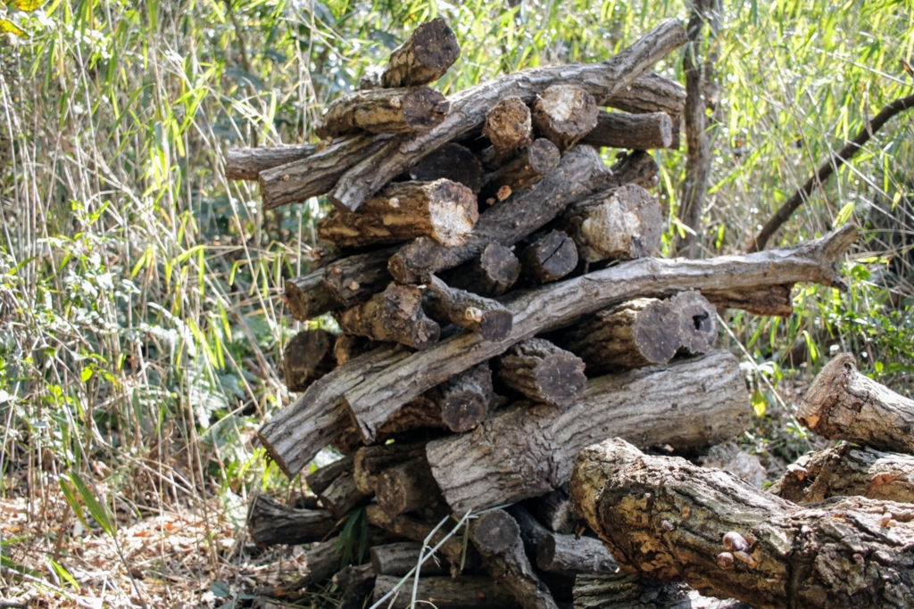 f:id:naokinoki777:20170312203331j:plain