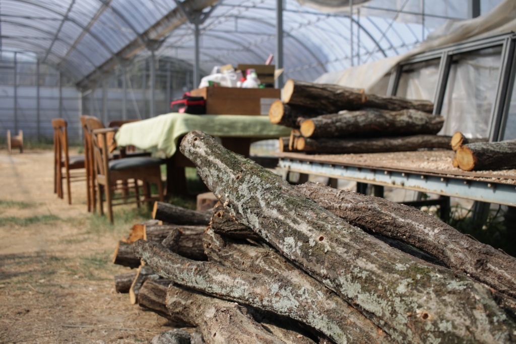 f:id:naokinoki777:20170312204048j:plain