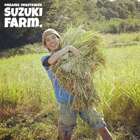 f:id:naokinoki777:20170312204318j:plain