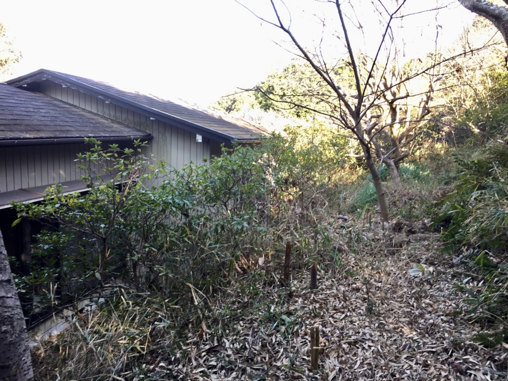 f:id:naokinoki777:20170313023210j:plain