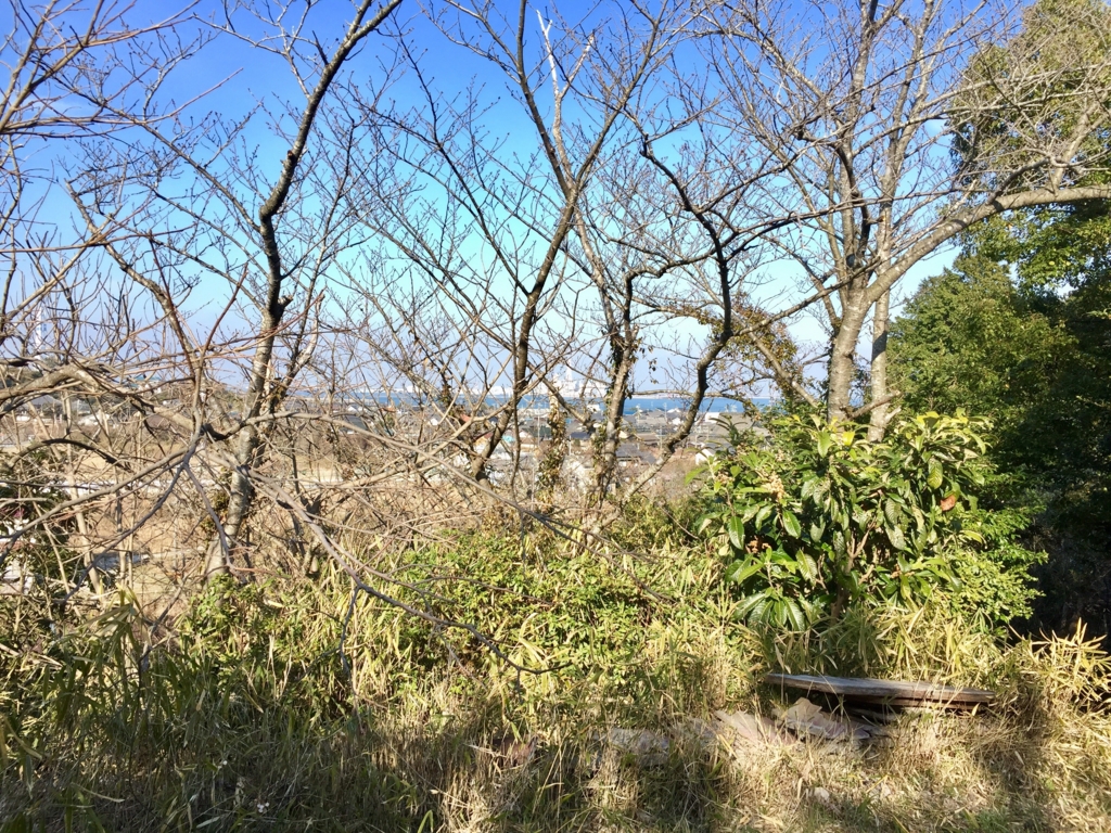 f:id:naokinoki777:20170313023821j:plain