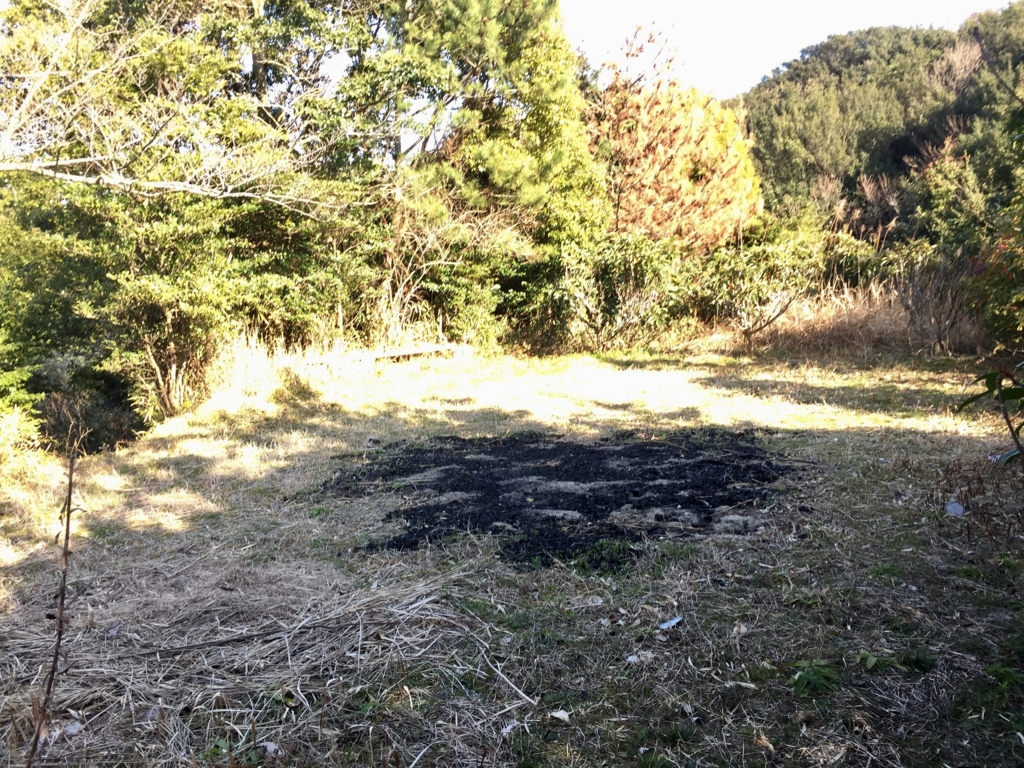 f:id:naokinoki777:20170313023822j:plain