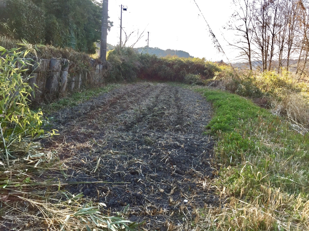 f:id:naokinoki777:20170313023951j:plain